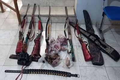  کشف ۱۴ سلاح شکاری و ۵۶ لاشه جانوری در عملیات محیط‌بانان مازندران