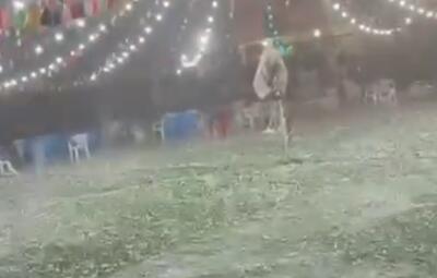  بارش شدید تگرگ در روستای طلحه دشتستان، مراسم عروسی را لغو کرد