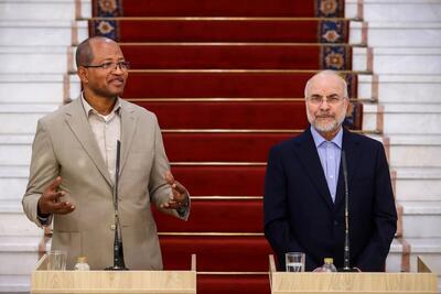 رئیس نمایندگان مجلس اتیوپی:امروز من و آقای قالیباف مبنا و پایه‌های مناسبات دو کشور را قرار دادیم+فیلم