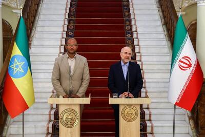 قالیباف: کمیسیون مشترک اقتصادی بین ایران و اتیوپی تشکیل شود/ایران به دنبال توسعه روابط با کشور‌ها در شاخ آفریقا است+فیلم
