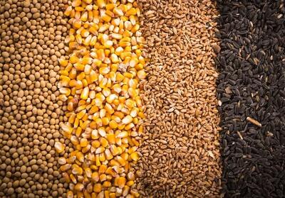 تخلیه و بارگیری نهاده های دامی کلید خورد