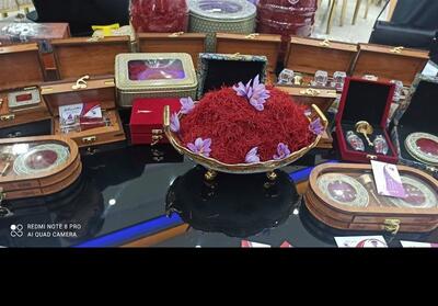 زعفران جایگزین کشت محصولات جالیزی در تایباد شد - تسنیم