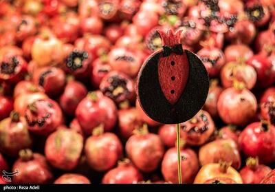 آغاز به‌کار نمایشگاه‌های عرضه کالای شب یلدا در شیراز - تسنیم