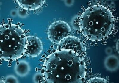 هشدار مسئولان بهداشت کیش نسبت به وضعیت شکننده جزیره در برابر ویروس آنفلوآنزا - تسنیم