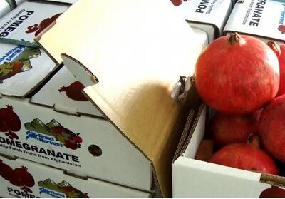 توافق طالبان و روسیه برای گسترش صادرات محصولات کشاورزی - تسنیم