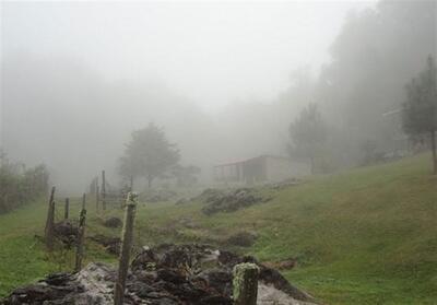گردشگری پاییزی| ماجراجویی در قلب طبیعت بکر غرب ایران/ سفر به جغرافیای آرامش با چالش   مه   - تسنیم