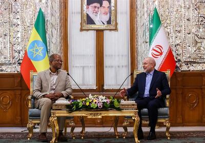 قالیباف:  ایران به دنبال گسترش روابط اقتصادی با اعضای بریکس است - تسنیم