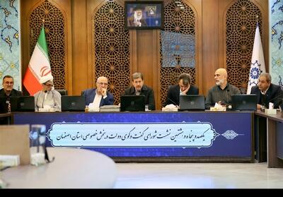 حمایت‌ 2 همتی دولت از صنایع فرش و نساجی اصفهان - تسنیم