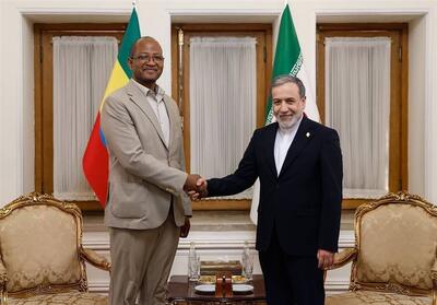 دیدار رئیس مجلس اتیوپی با عراقچی - تسنیم