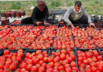 توسعه شبکه توزیع کالاهای اساسی در گلستان/ 5 روستابازار تا پایان سال افتتاح می‌شود - تسنیم