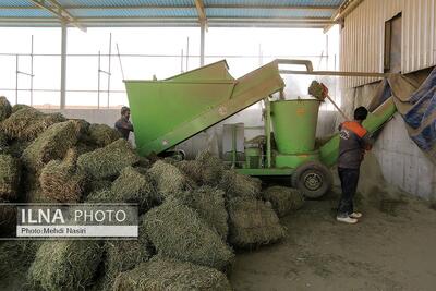  خالی فروشی وزارت نفت و بانک مرکزی/ اثر اختلالات ارزی بیشتر از تحریم‌هاست