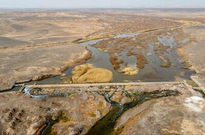 هشدار درباره پیامدهای خشکی تالاب‌ها؛   تامین حق‌آبه برای تالاب یا گرد و غبار برای شهر؟