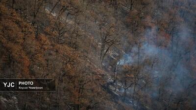 گزارش مجلس درباره آتش سوزی جنگل‌های الیت غیرکارشناسی است