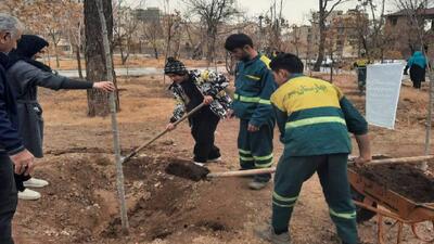 کاشت ۱۴۵۰ اصله نهال در منطقه یک؛ گامی عملی در مسیر طرح ملی یک میلیارد درخت
