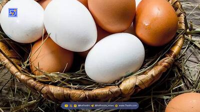  اگر هر روز تخم‌مرغ بخوریم برای بدن چه اتفاقی می افتد؟