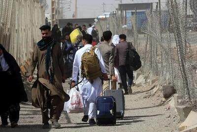 آخرین آمار اخراج روزانه مهاجران غیرقانونی افغانستانی از ایران