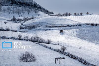 برف، ارتفاعات هرمزگان را سفیدپوش کرد+فیلم