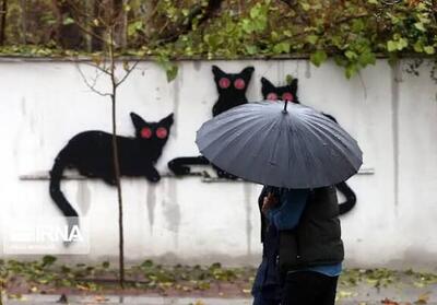 بارش شدید باران در راه شیراز / بازارهای موقت تعطیل شد