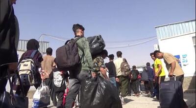 آخرین آمار اخراج روزانه مهاجران غیرقانونی افغانستانی از ایران