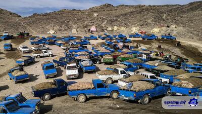 صفر شدن واردات گازوئیل مقطعی یا پایدار