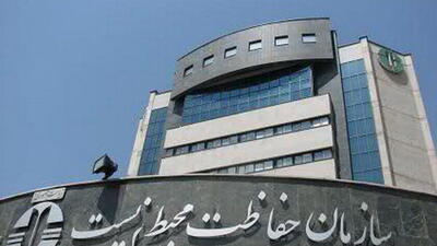 واکنش سازمان محیط زیست به گزارش مجلس درباره آتش‌سوزی جنگل‌های الیت