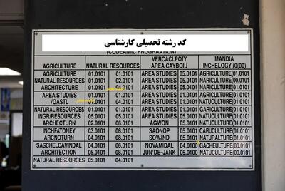 کد رشته تحصیلی کارشناسی/ راهنمای کامل دریافت و کاربرد در کنکور و ثبت‌نام‌ها
