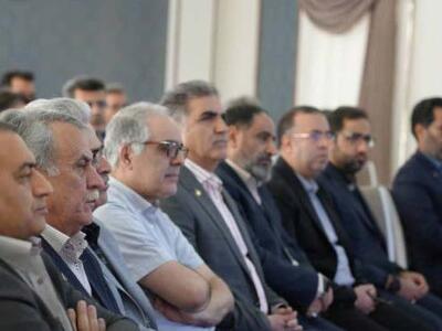 ضرورت توجه بیشتر به عناصر معدنی حیاتی