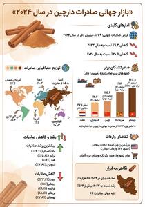 بازار جهانی صادرات دارچین در سال 2024 /اینفوگرافی