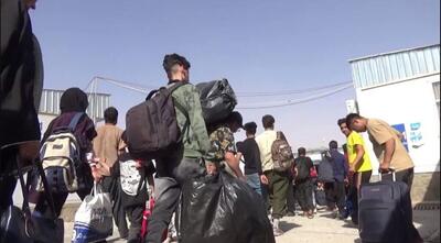 آخرین آمار اخراج روزانه مهاجران غیرقانونی افغانستانی از ایران