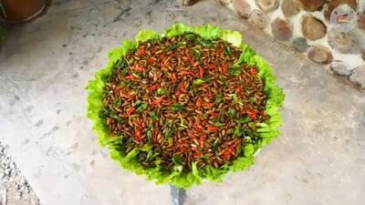  پخت غذای سنتی سنگاپوری با کرم ابریشم و سبزیجات (فیلم)