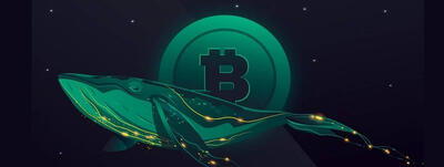 بازی پنهان نهنگ‌ها روی بیت‌کوین