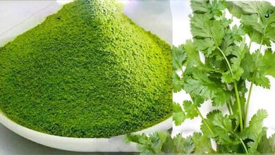  نحوه خشک کردن سبزی / سبزی را با رنگ روشن و عطر ماندگار خشک کنید