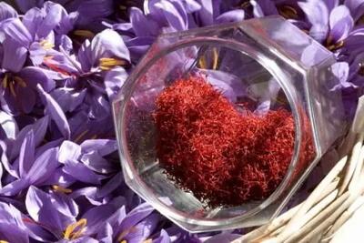 قیمت هرکیلو زعفران به حدود ۱۸۰ میلیون تومان رسید