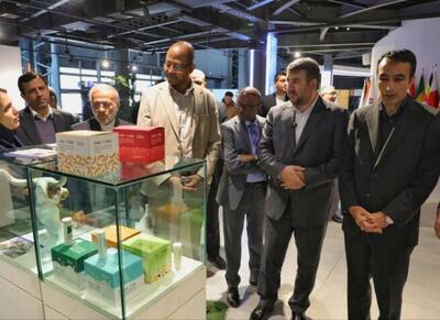  «آفریقا» شریک راهبردی ایران در زیست‌بوم فناوری - اکونیوز