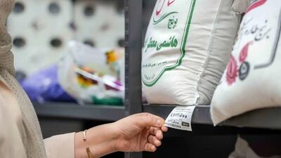 برنج وارداتی دولتی؛ راهکار تازه برای مقابله با قیمت‌های آزاد