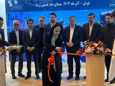 دولت چاره‌ای جز آشتی با بخش خصوصی ندارد