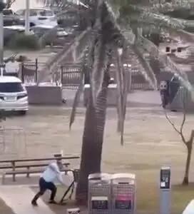 ببینید | لحظه خلع سلاح یکی از مهاجمین در سیدنی