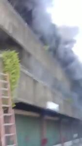 زن قبل از نجات خود، سگ‌هایش را از میان شعله‌های آتش رهانید