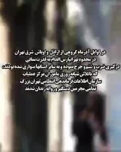 اوباش سابقه‌دار تهرانپارس به دام پلیس افتادند