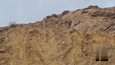 «هیوا»، یوزپلنگ آسیایی در پارک ملی توران دیده شد