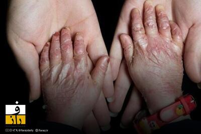 هاشمی‌گلپایگانی: ۶۷ بار به فاطمه هاشمی رفسنجانی نامه زدیم