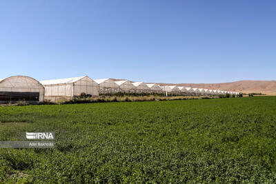 درخواست ارزی فعالان بخش کشاورزی/ مشارکت واردکنندگان در تولید قراردادی محصولات