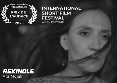 جایزه جسارت جشنواره فرانسه به «دیدار» رسید