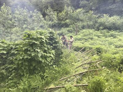 رفع تصرف ۲۶۸ میلیاردی اراضی در تالش
