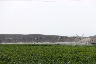 مدیریت هوشمند آب در زنجان راهکار مقابله با کم آبی