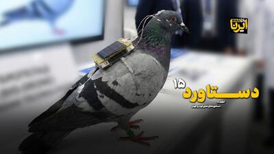  از تبدیل کبوتر به پهپاد تا چسب زخم برای قرنیه!