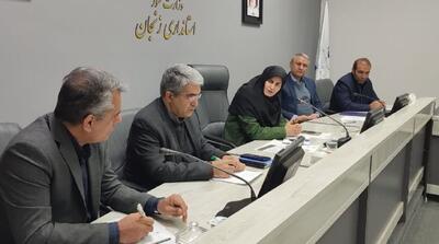  معاون استاندار زنجان: تمرکزگرایی مالی؛ مانع اصلی توسعه بیمه در استان‌ها