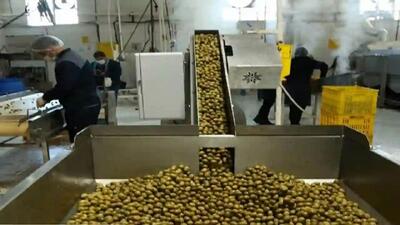 فرماندار رودسر: هفت هکتار زمین این شهرستان به احداث صنایع تبدیلی اختصاص یافت