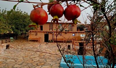  تشکل‌های گردشگری در تحقق توسعه روستایی خراسان رضوی بازوی اجرایی دولت هستند
