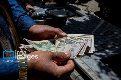 چرا ارز تک نرخی نمی شود؟